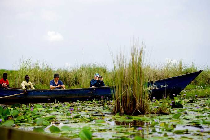 Canoe safari in Mabamba Swamp, Uganda