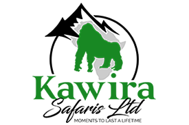 Kawira Safaris Ltd