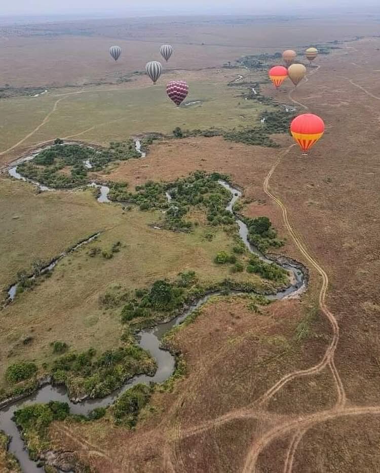6 Days Masai Mara Nat Park and Naivasha Safari β 6-day safari in Kenya: Mara wildlife with a Rift Valley lake finish.
