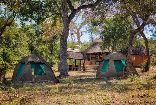 2 Days Akagera Camping Safari — 2-day safari in Rwanda: Two days of game drives and a night under canvas in Akagera National Park.