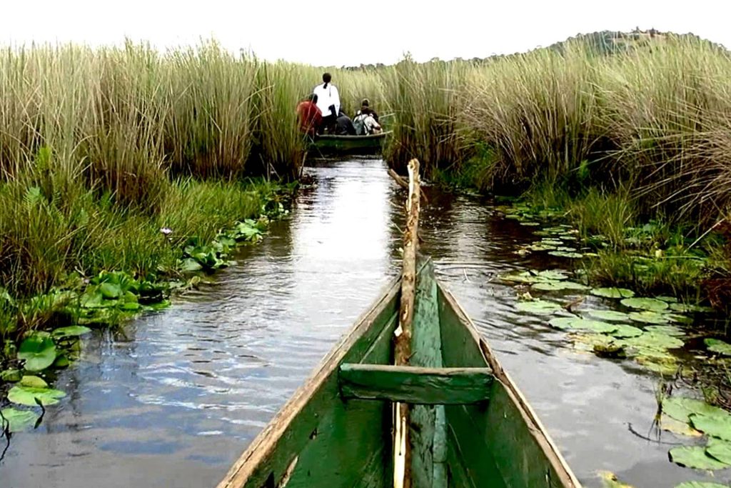 1 Day Mabamba Shoebill Tour — 1-day safari in Uganda: Half- to full-day canoe trip in Mabamba Swamp to find the prehistoric shoebill stork.